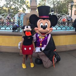 Mickey Mouse Costume 