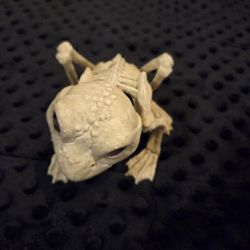 Crazy Bones Skeleton Frog