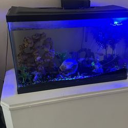 Fish Tank And Base