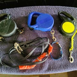 Retractable dog leashes. $1 each