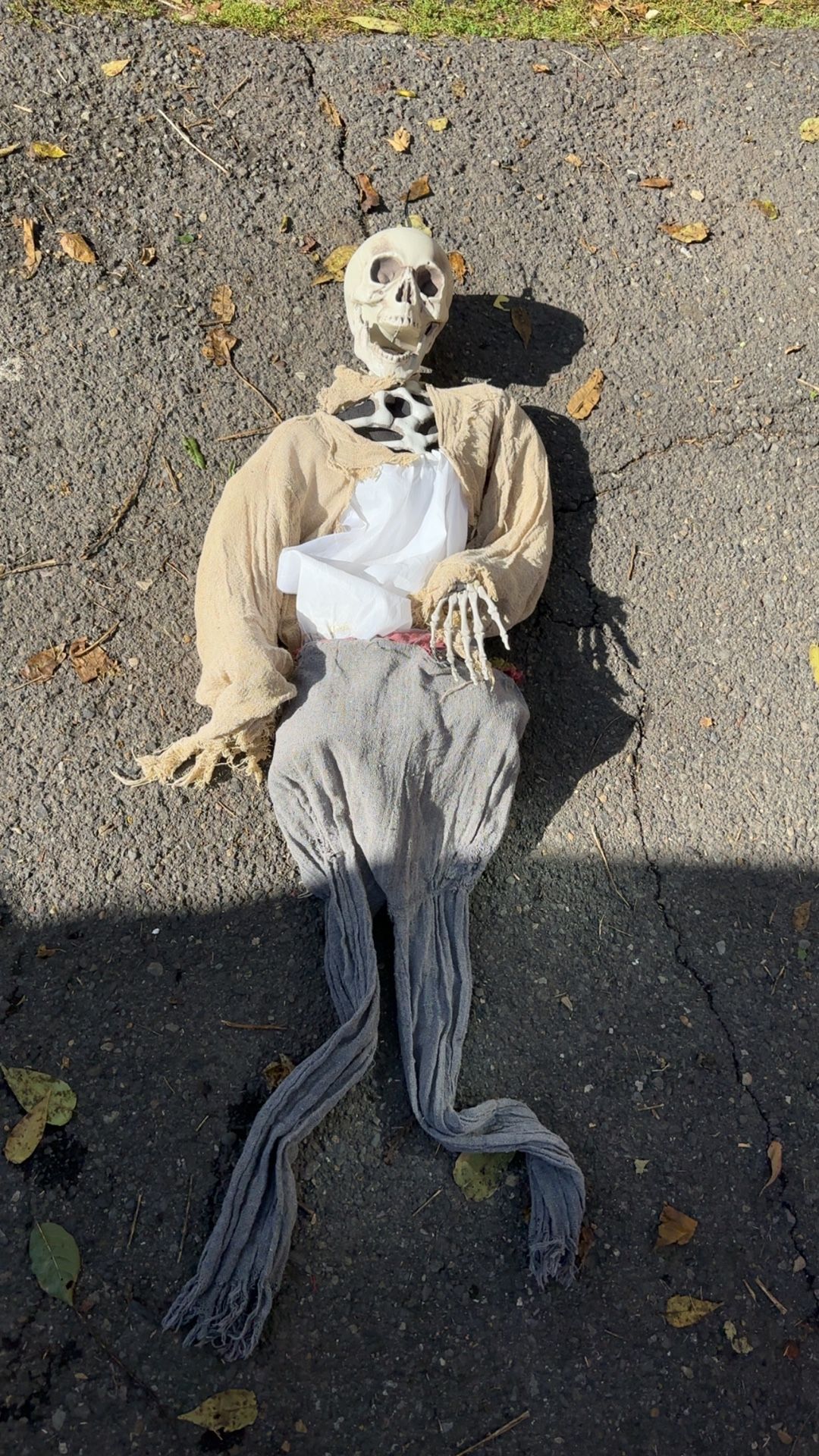 pirate Skeleton Halloween Decor