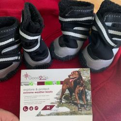 Dog Boots