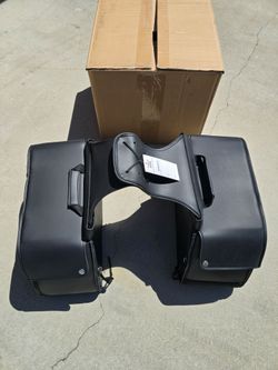 Motorcycle dual bags
