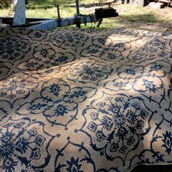 9 1/2 Ft Long X7x1/2 Wide Rug 