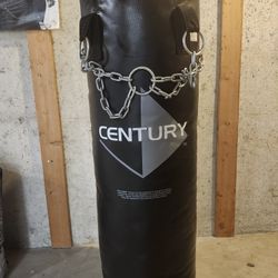 Heavy bag, Century: 38" tall, apprx 44" in circumference