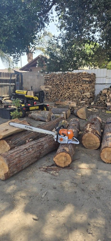 Fresh Cutt Oak,ceader,pine