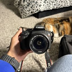 Canon EOS Rebel T7