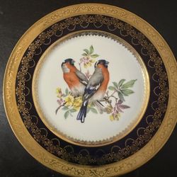 Antique Vintage Bullfinch Bird Plate From Rehausse