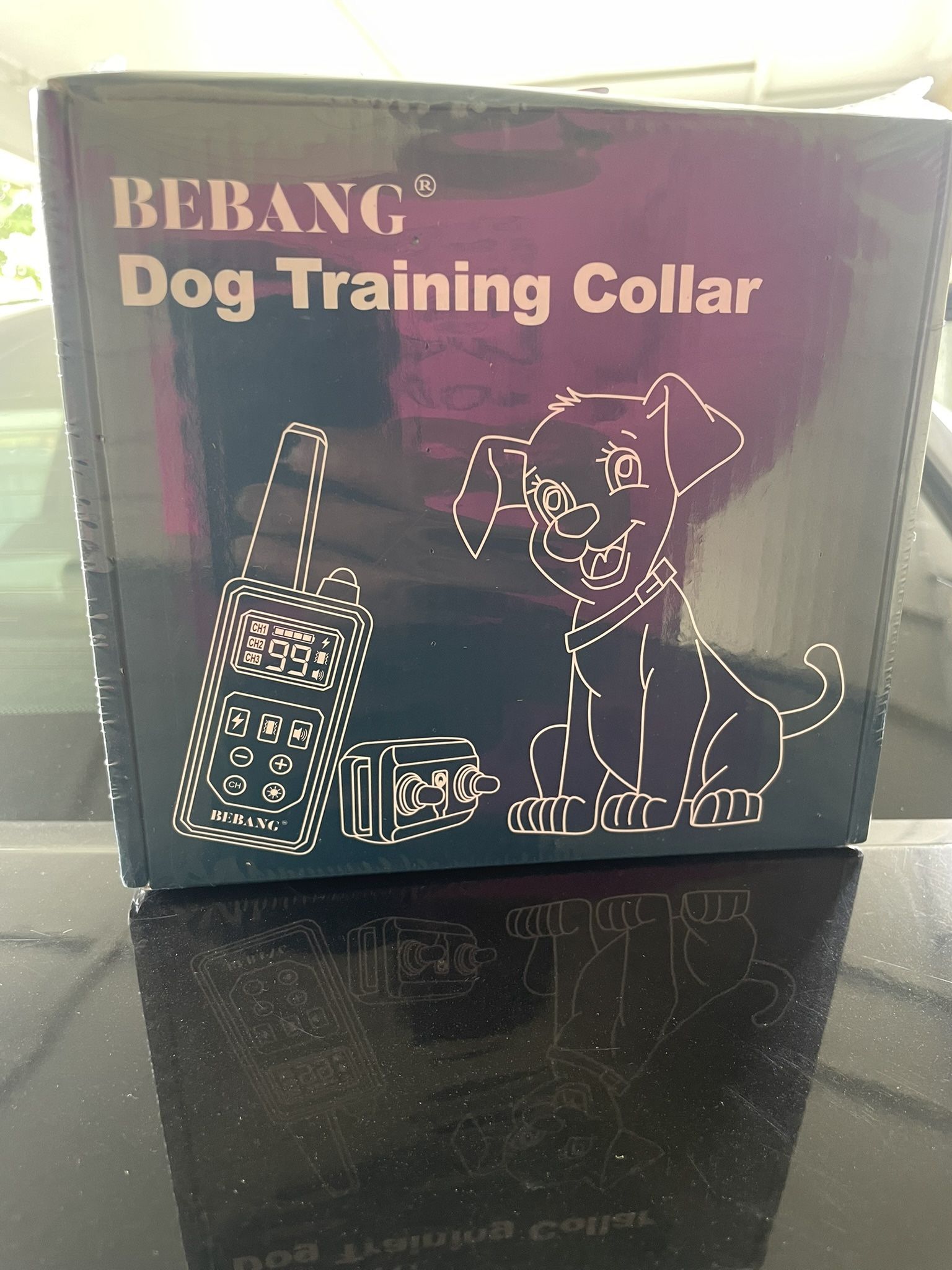 Dog Training Collar