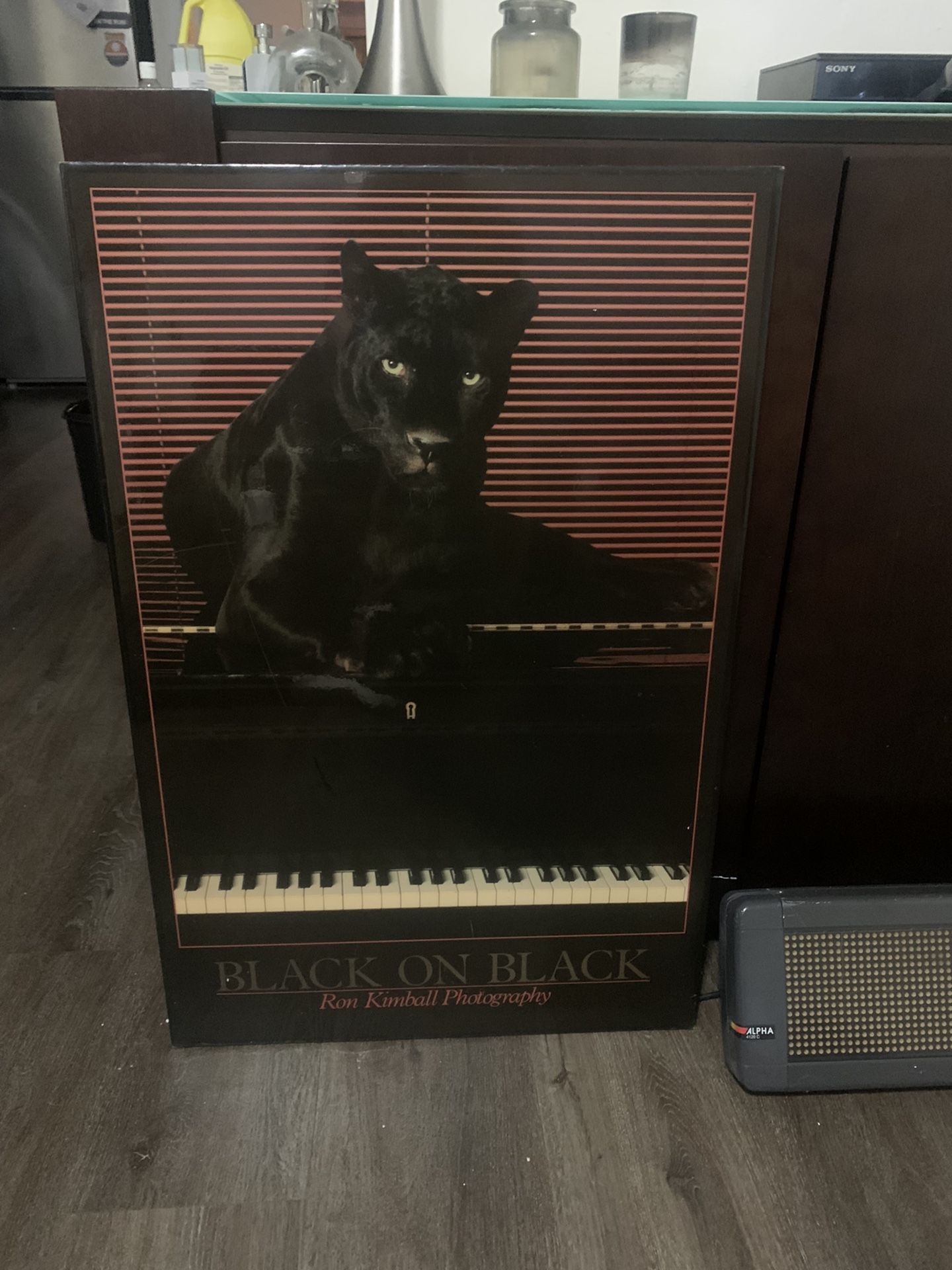 Vintage 80’s Ron Kinball Panther In Thick Varnished Frame
