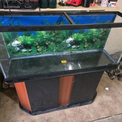 50 Gallon Fish Tank 