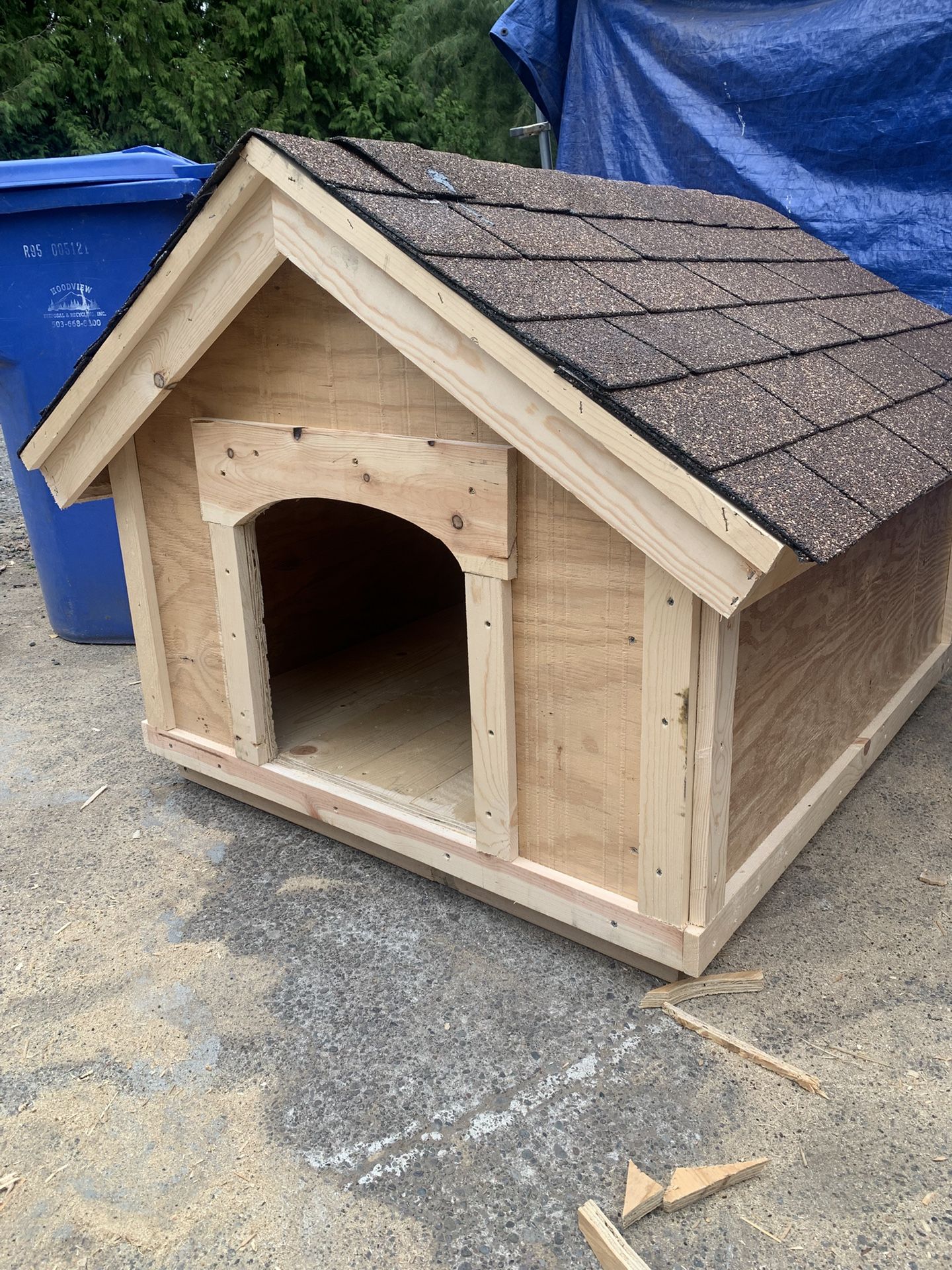 Dog House 