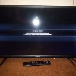 Vizio 25 inch Smart TV