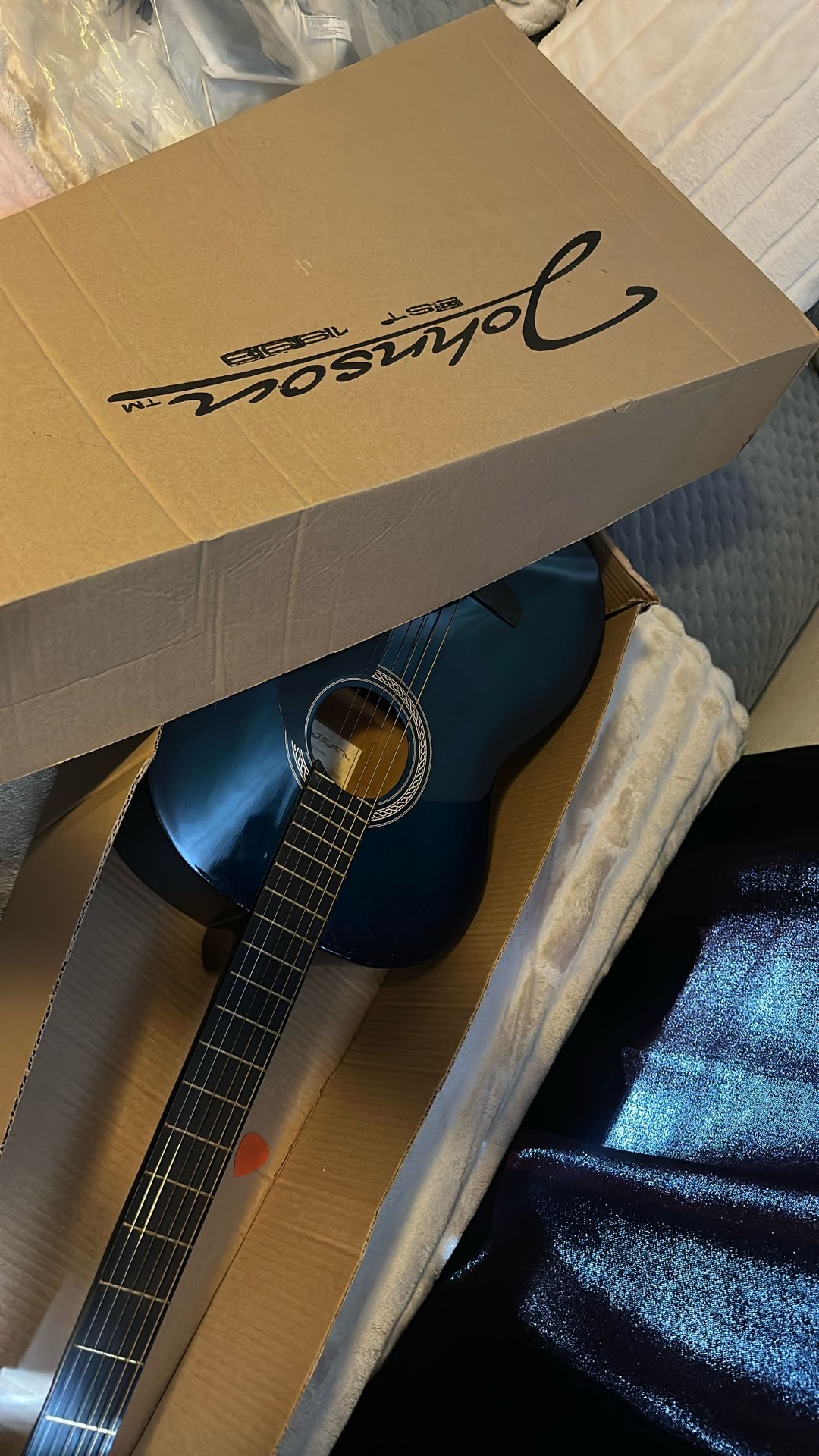Johnson Guitar