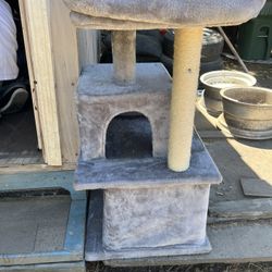 Cat Tower 