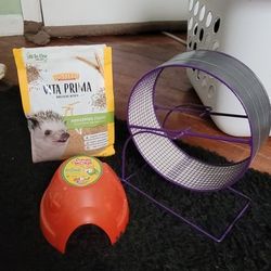 Hedgehog Food And Wheel With House