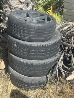 Free Items