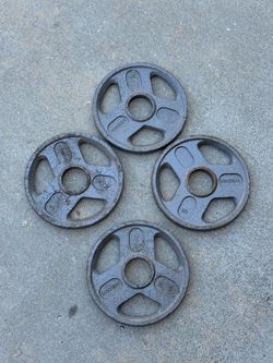 5lb weider plates