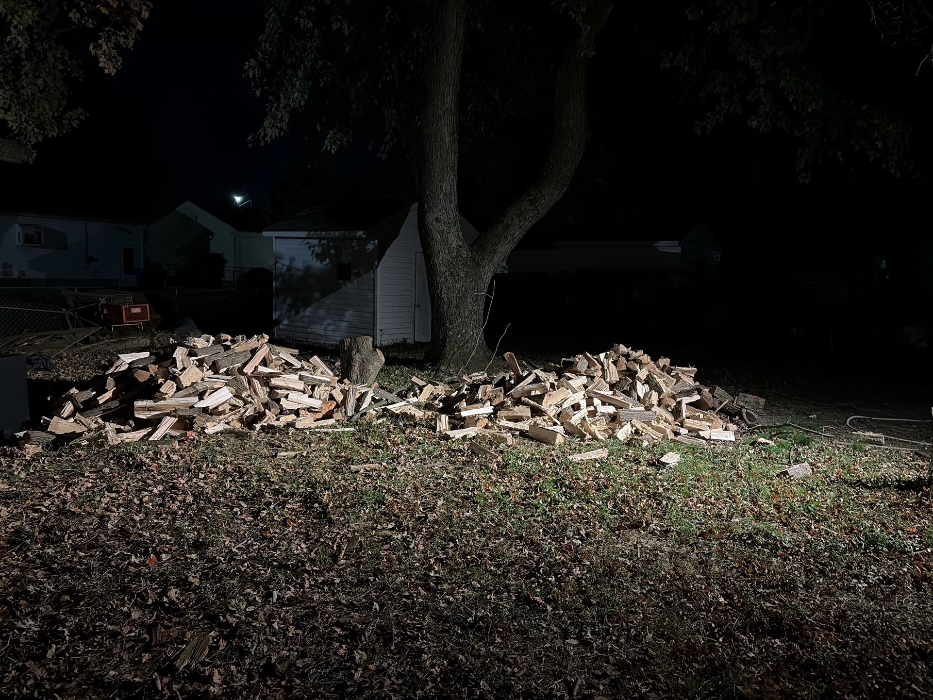 Wood Black Friday Sale Today Only 