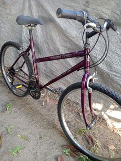 F.S ELITE GRAND Bike 26" wheels