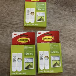 Picture Hanging Strips