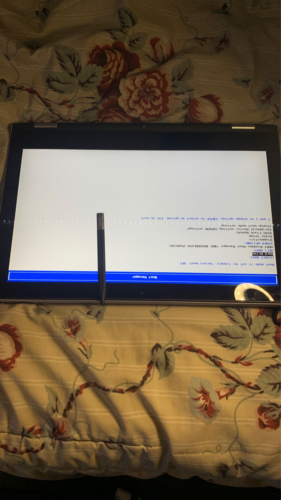 DELL laptop (stuck on boot mode)