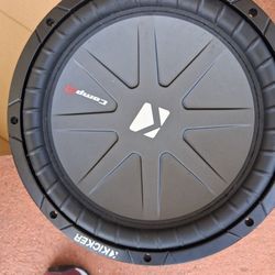 12in Subwoofer 