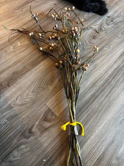 Dried Berry Branch Bundle Floral Stems