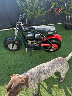 Mini Bike