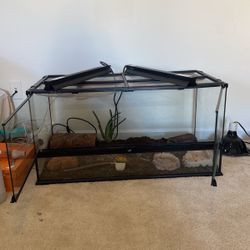 Reptile Tank