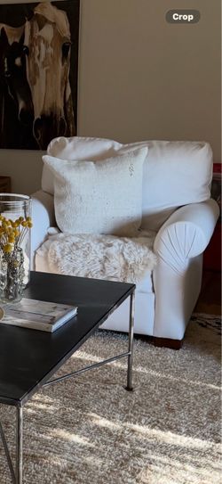 Down  cushion white chair