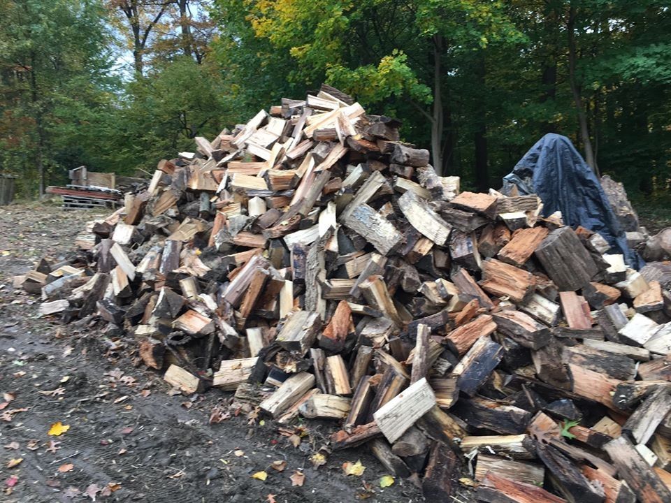 Maple Firewood For Sale