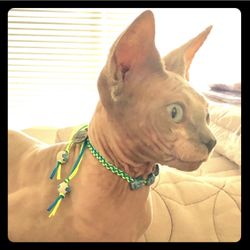 NWT: Venessa Arizaga Bracelet: “Roses Bracelet”