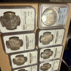 Toned morgans 