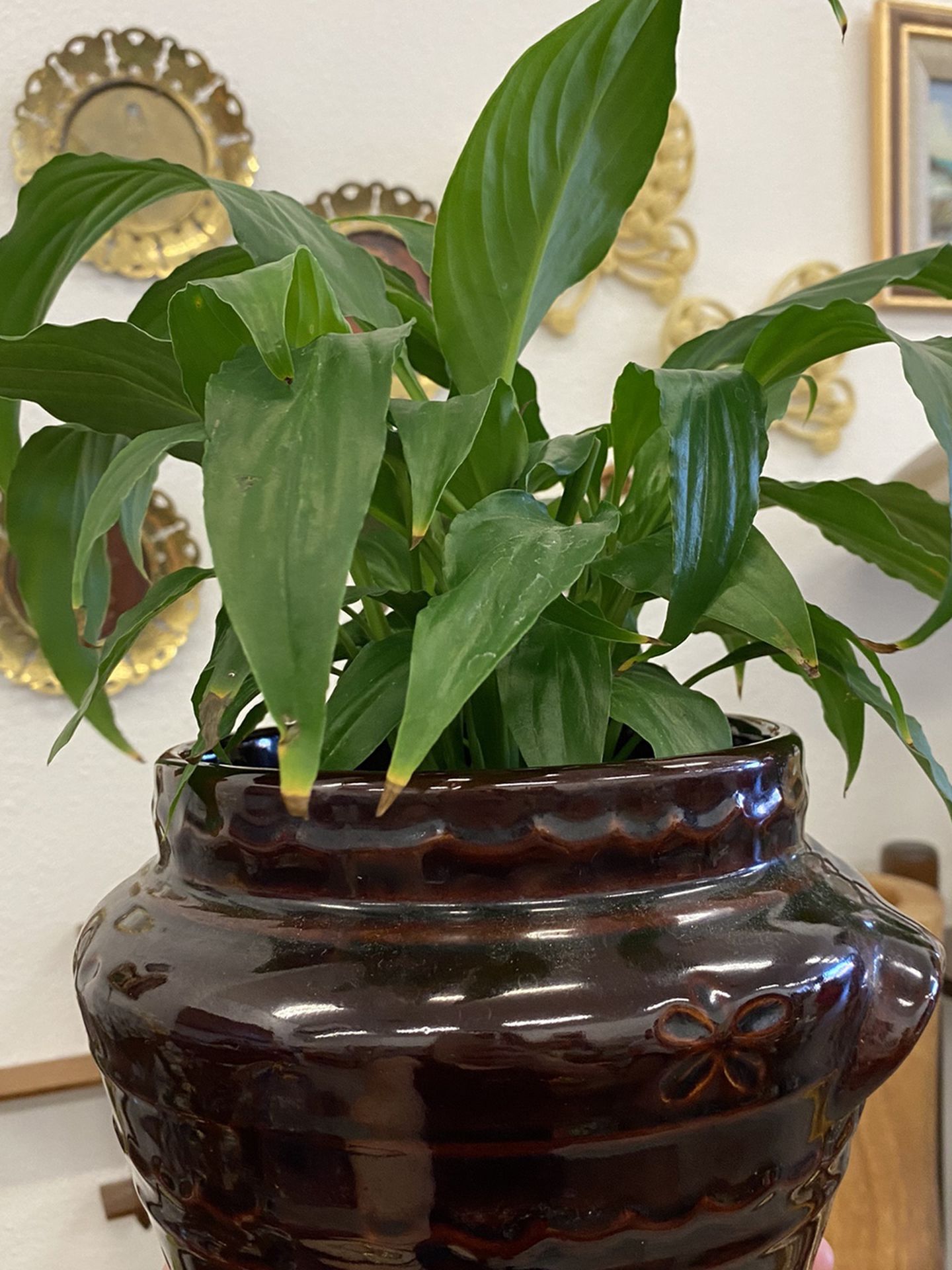 Brown Pot For Plant