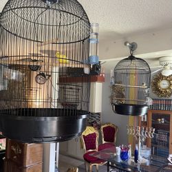 Bird Cage , Hanging Round , Black