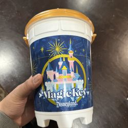 Disney Popcorn Bucket 