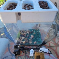 Plant growing aquarium tank.