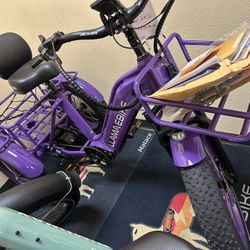 LLAMA EBIKE Cyber Trik-CT10 E-Trike