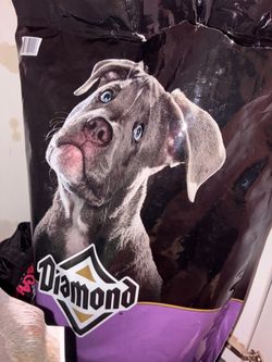 Puppy supplies for bulldogs
