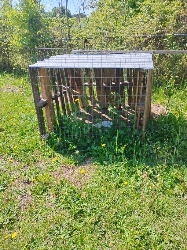 Pallet Chicken Coup