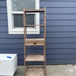 Ladder Bookshelf