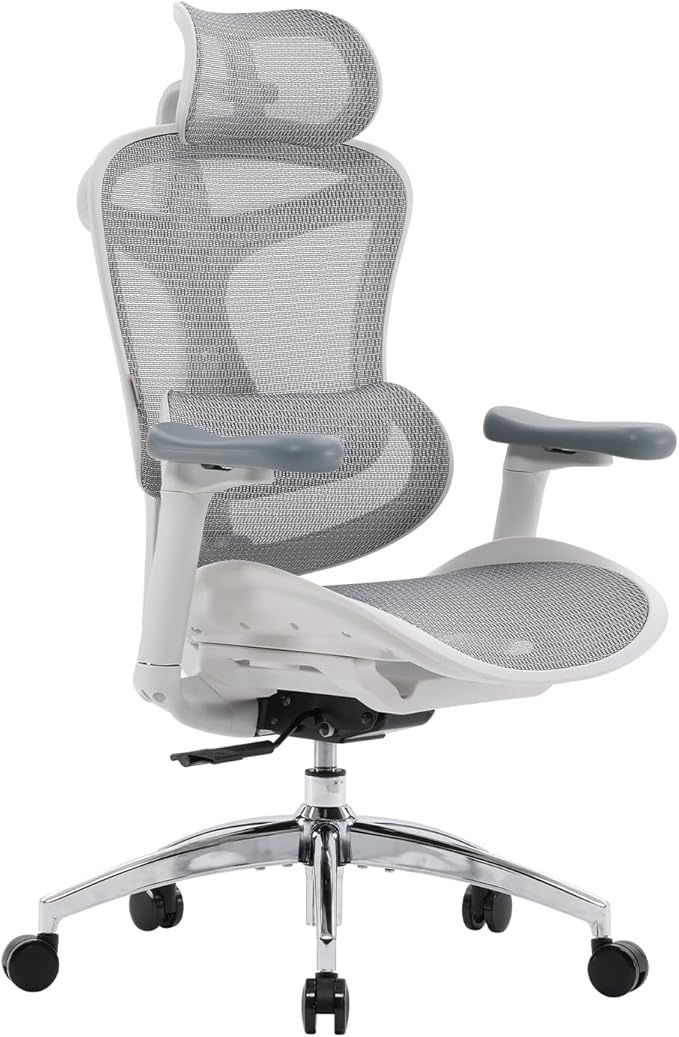 SIHOO Doro C300 Ergonomic Office Chair