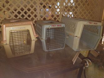 Cat or dog carriers