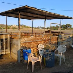 Horse Corrals