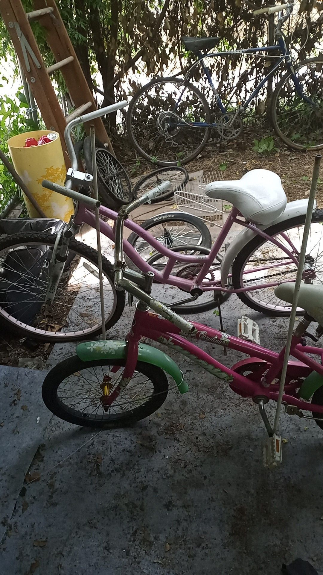 Women's Schwinn cruiser and girls magna cruiser