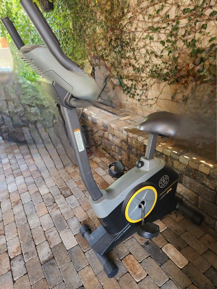 Gold Gyn Exercise Bike