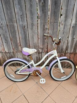 Beach cruiser