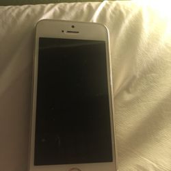 iPhone 5 