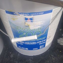 5 Gallons Interior Eggshells Light Beige Paint 